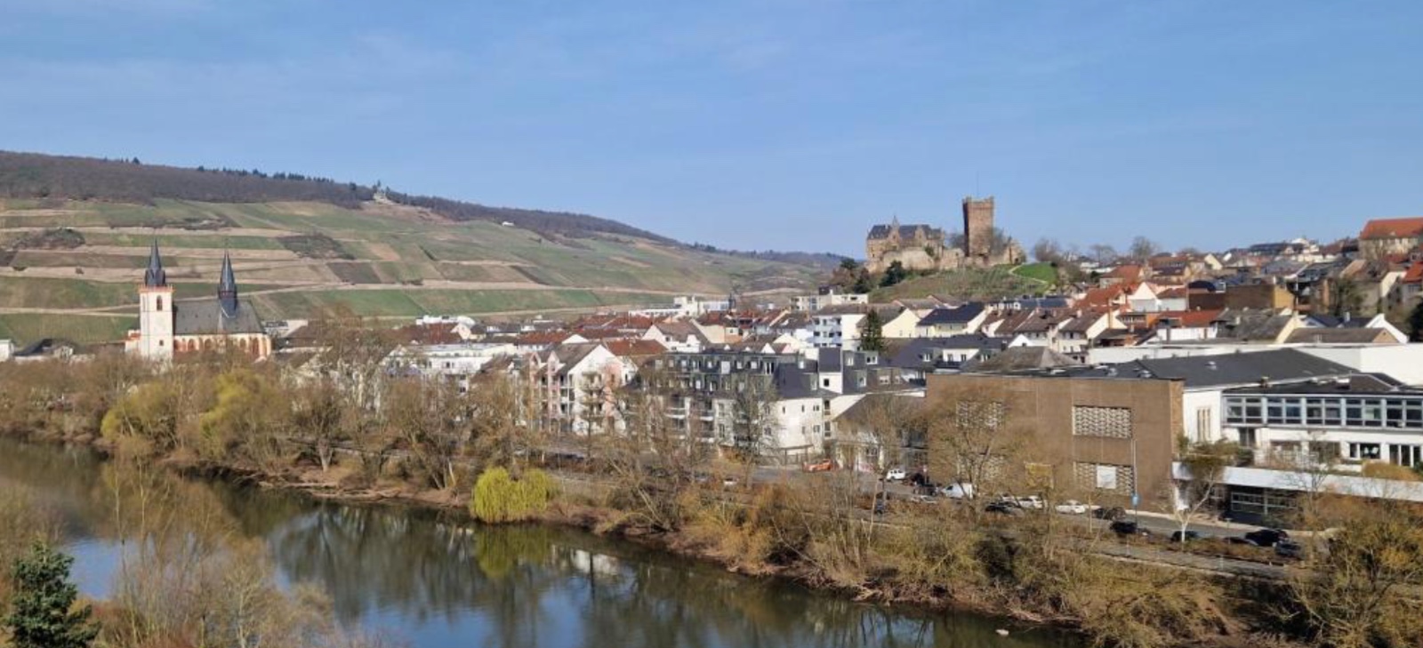 Apartment in Bingen mit Blick auf die Nahe III